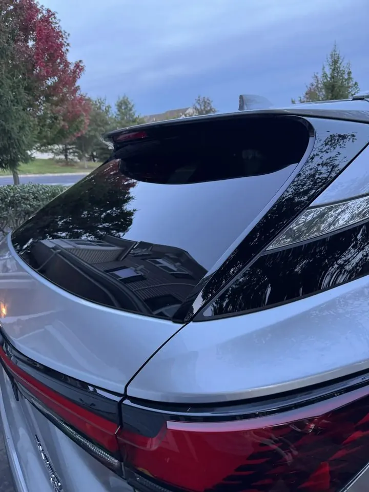 Lexus rear window after detailing — clear glass reflecting the trees